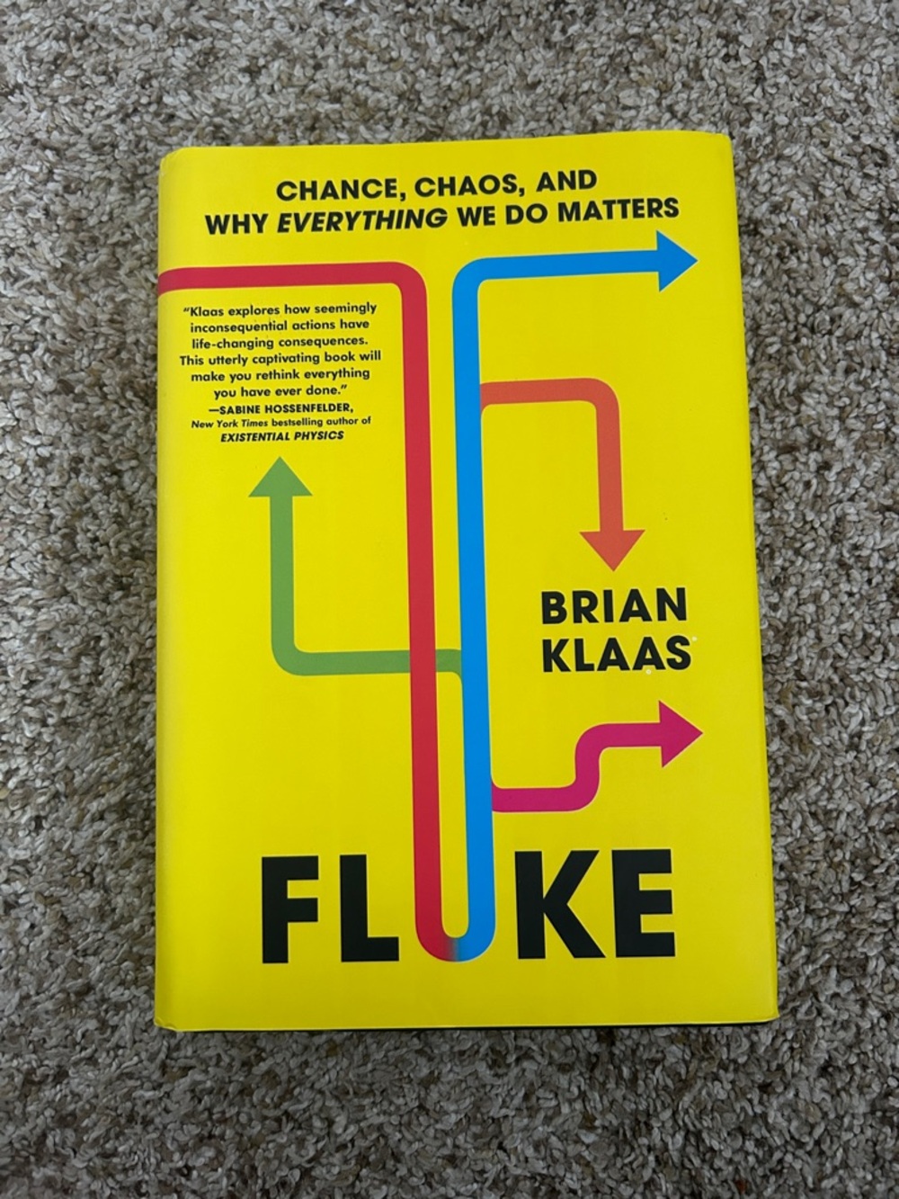 Fluke by Brian Klaas